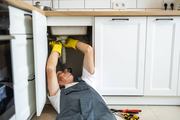 Best Clogged Drain Plumber  in Fox Point, WI